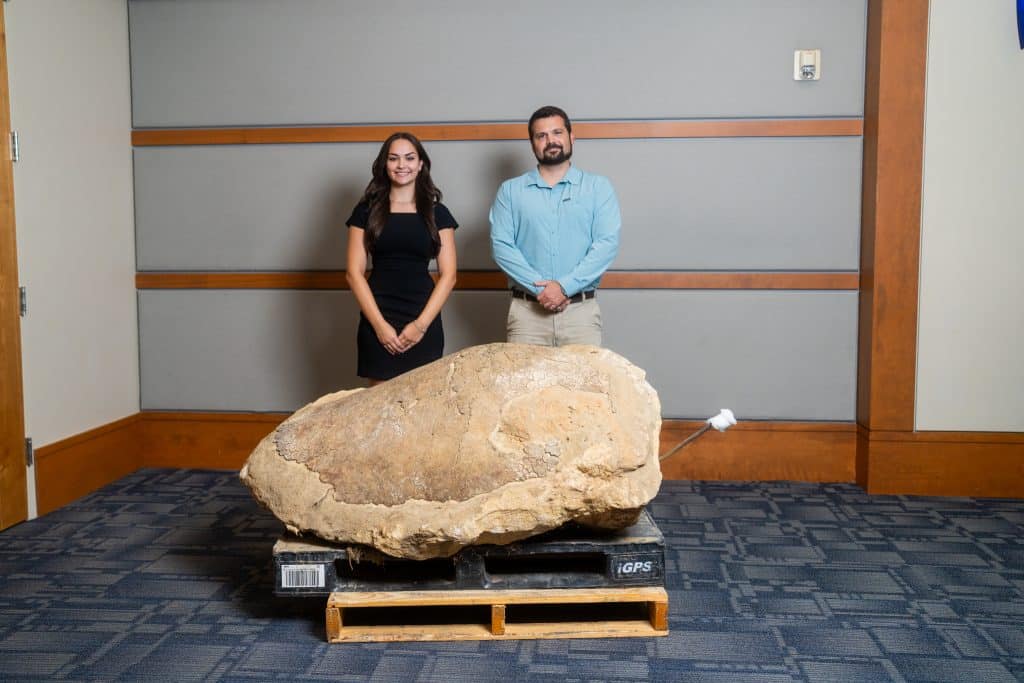 A woman in a black dress and a man in a blue dress shirt and khaki slacks stand in front of the turtle fossil.
