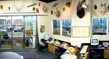 A Group Of People Sitting At A Desk In A Room