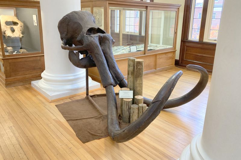 a wooden statue in front of a window