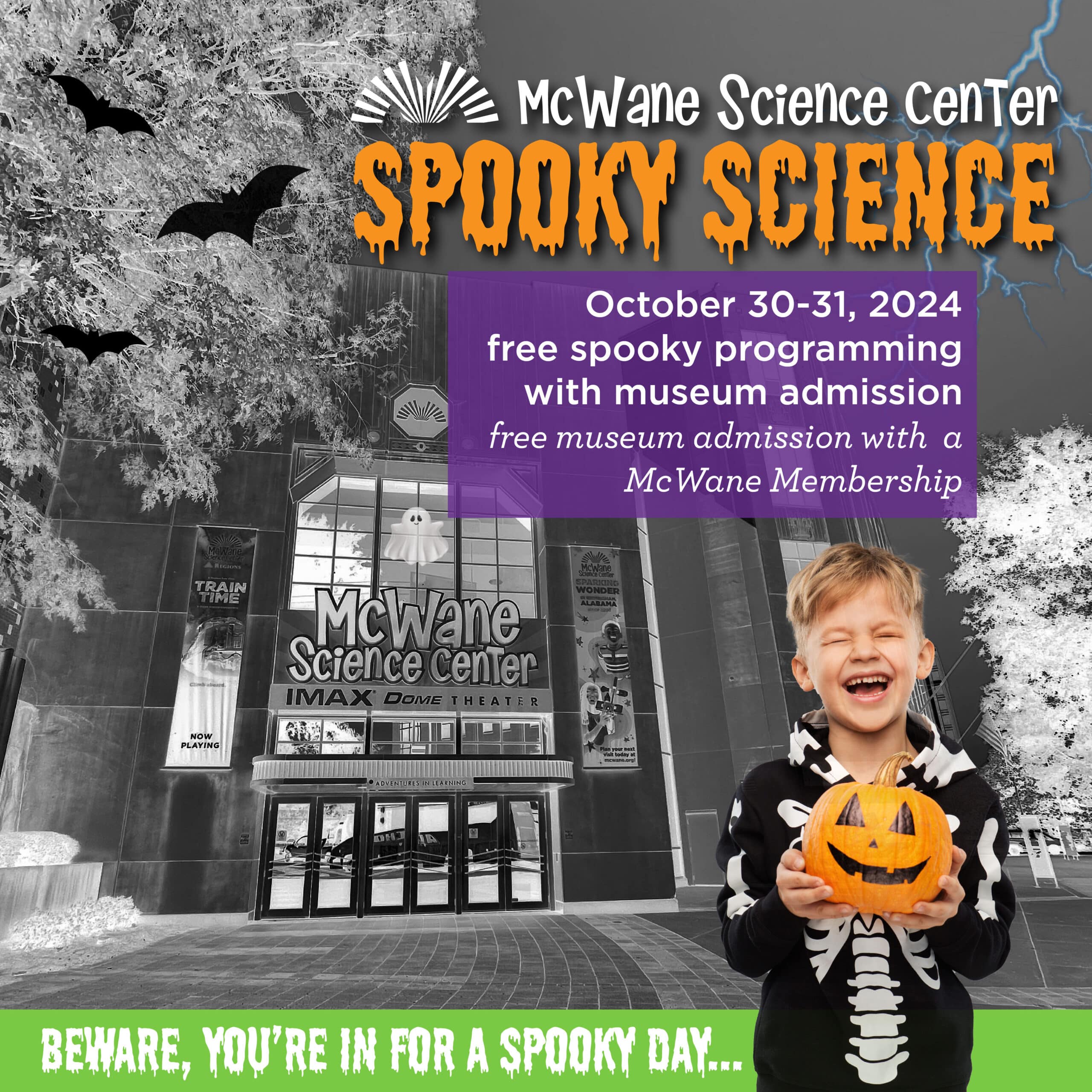 graphical user interface, website