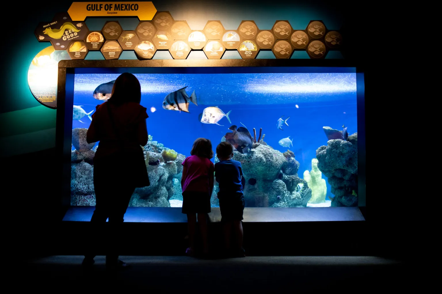 a group of people standing in front of a television screen